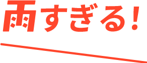 雨すぎる