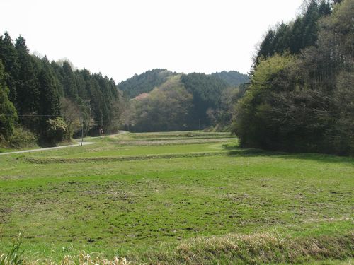 山林の間に水田と耕地があり、サシバやミゾゴイの生息地になっているテストコース予定地。